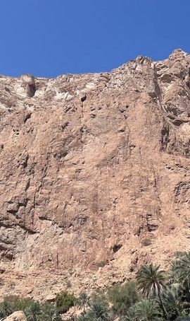 2D1N • Tour Fatimah 2 Days-1 Night In Ras Al Hadd, Oman Tours Package