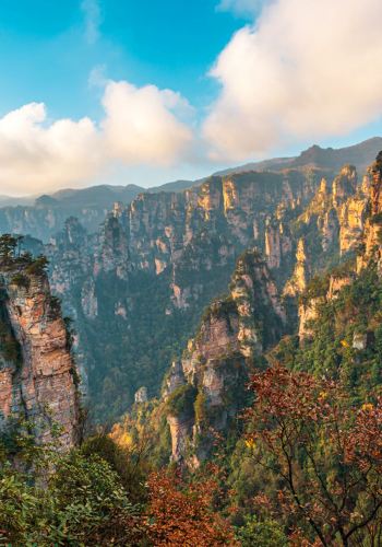 2D1N • Zhangjiajie National Forest Park + Tianmen Mountain + Zhangjiajie Grand Canyon