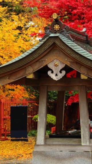 7D6N • Autumn Northeast Japan Experience Tour: Aomori & Yamagata, Nebuta House, Hirosaki Castle Park, Takayama Inari Shrine, Oirase Stream, Lake Towada, Lake Tazawa, Chuson-ji Temple, Geibikei Gorge