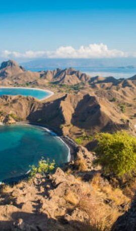 2D1N • Komodo Island 2 Days 1 Night Tour with Flights from Bali