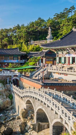 7D6N • Shining South Korea