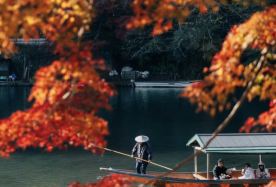 6D5N · Private Tours · Year Round Classic Kansai Tour: Temple Train Aquarium Experience + Kyoto Osaka City Hotel Stay + Fushimi Inari Dotonbori Landmarks + Arashiyama Bamboo Highlight Title 2 Family Focus · A family-friendly Kansai adventure blending Kyoto culture, scenic train rides, aquarium fun, bamboo forests and Osaka city highlights.
