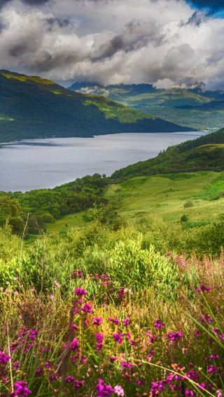 16D15N • Scotland and Ireland with London
