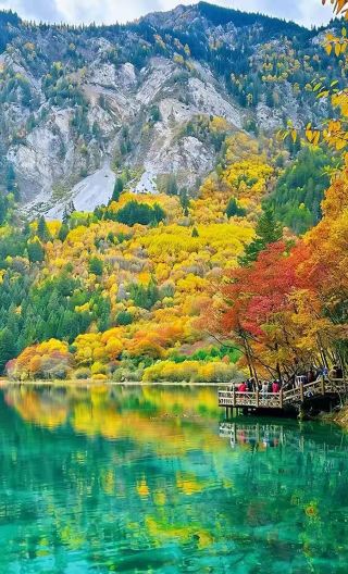 2D1N • Round-trip High-Speed Rail Escape, Relaxed Jiuzhaigou Getaway,Tour guide will not enter Jiuzhaigou Scenic Area,online communication available.