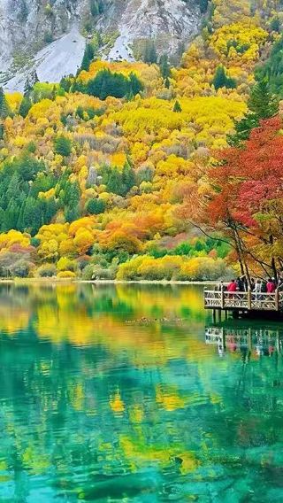 2D1N • Round-trip High-Speed Rail Escape, Relaxed Jiuzhaigou Getaway,Tour guide will not enter Jiuzhaigou Scenic Area,online communication available.