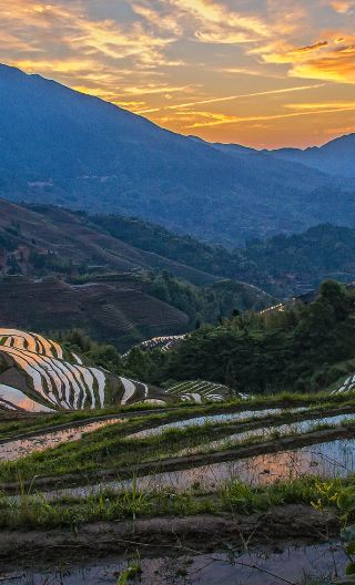 4D3N • Colorful Guilin highlights tour: Longji Terraces + Huangluo Yao Ethnic Village + Ping'an Zhuang Ethnic Village + Li River + West Street + Reed Flute Cave + Elephant Trunk Hill + Yaoshan Mountain