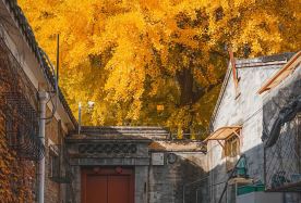 6D5N · Group Tours · Autumn Getaway to Beijing · Designated international brand: Carnival Xiamen · Enjoy a full day at Universal Beijing Resort, Forbidden City · Summer Palace · Temple of Heaven · The Great Wall · Small Group of 12 · Complimentary visit to Tiananmen Rostrum or a museum. Designated international brand: Carnival Xiamen. Professional commentary by star tour guide. Private Airport Pick-up