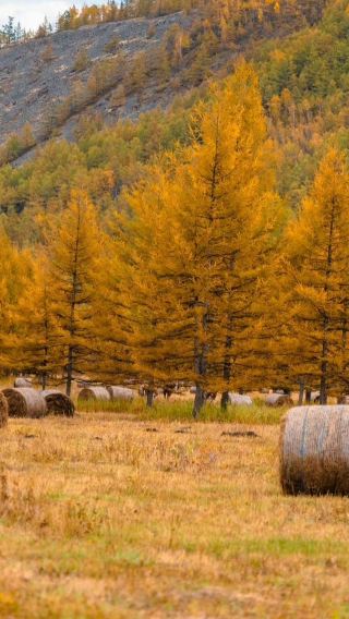 6D5N • China + Inner Mongolia + Hulunbuir + Hulunbuir Grasslands + Moergle River Scenic Area + Inner Mongolia Ergun National Wetland Park
