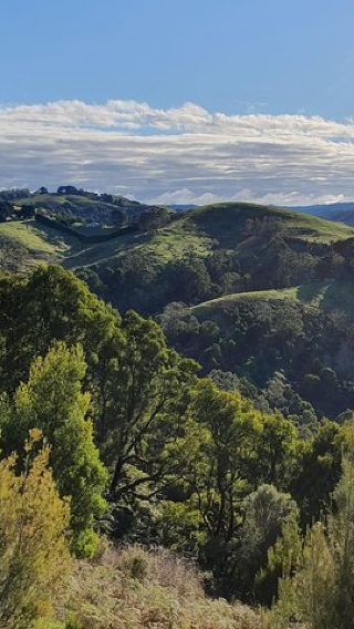 3D2N • 3-Day Adelaide to Melbourne Tour Including the Great Ocean Road