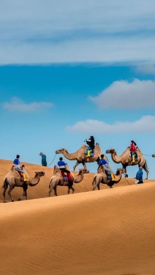 2D1N • Inner Mongolia+Grassland Ballad Tour Ask for ExclusiveHohhot · Xilamuren Grassland · Whistling Dune Bay