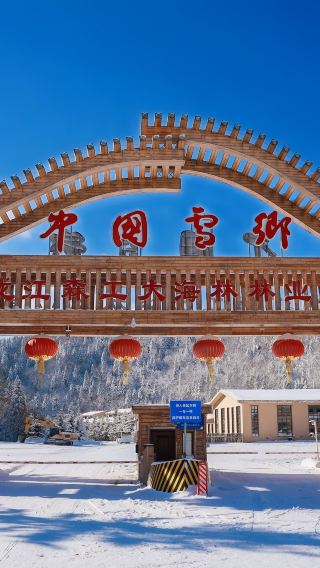 7天6晚 • 東北雪世界長春、哈爾濱、亞布力、雪鄉，哈爾濱國際5鑽飯店，滿6人下單升級獨立成團，已含小費，金牌當地導遊，贈14項禮遇大禮包
