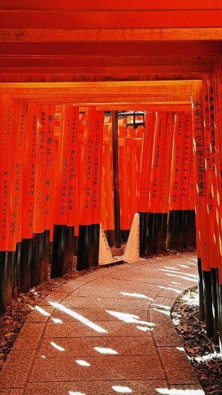 7D6N • Japan - Tokyo - Osaka - Mount Fuji - Kyoto - Nara - 7-day 6-night small group tour