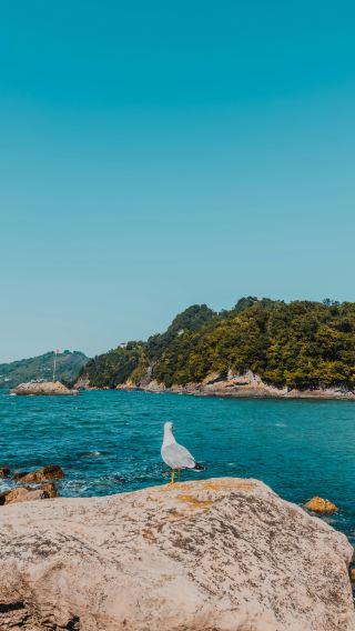 7D6N • Bangkok + Pattaya + Koh Samet