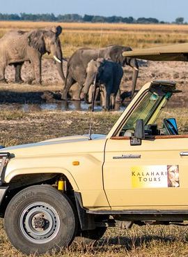 3D2N • Luxury en suite Camping 3 Days 2 Nights Chobe Park