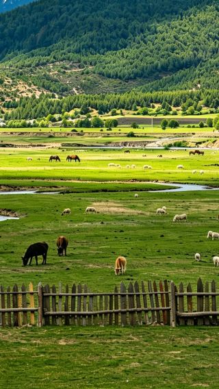 10D9N • No surcharge for Christmas & Flexible and adjustable itinerary: Kunming + Dali + Lijiang + Shangri-La + Lugu Lake: Stone Forest + Erhai Lake + Yulong Snow Mountain Glacier Park + Tiger Leaping Gorge