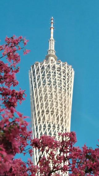 7D6N • Guangzhou · Qingyuan · Foshan · Hong Kong + Sacred Heart Cathedral + Huangteng Gorge + Guangdong Romance Park + Avenue of Stars + Victoria Peak: choice of brand-name stays