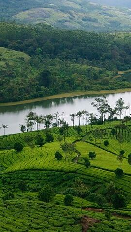 5D4N • 5 Days Luxury Kerala Tour with Houseboat Experience