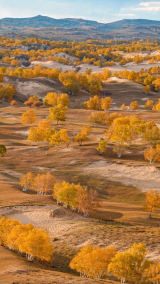 5D4N • Chengde + Wulanbutong Steppe Tourist Area + Wulan Butong Grassland