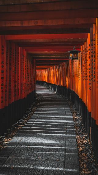 5D4N • Japan + Osaka + Kyoto