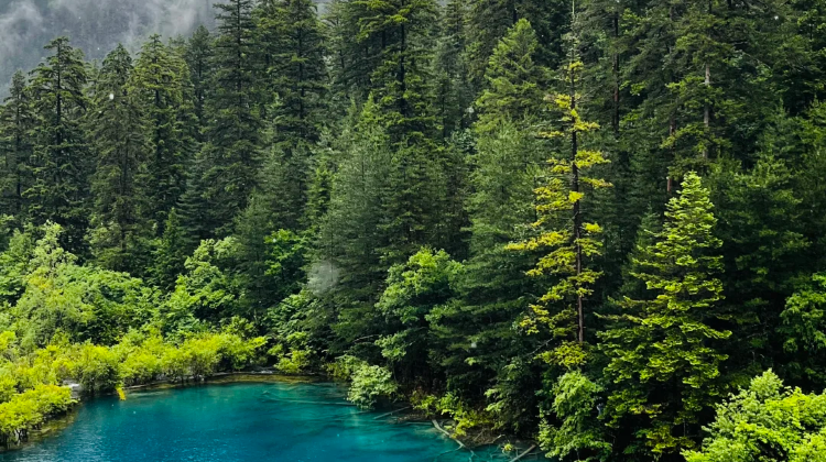 6D5N · Private Tours · Sichuan Holiday Fun: Full Day In-Depth Tour