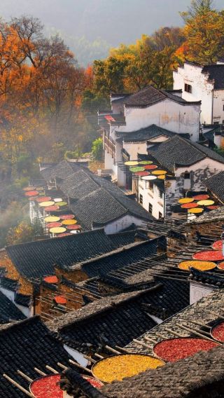 6D5N • Nanchang Jiangxi + Lushan City + Jingdezhen + Wuyuan + Sanqingshan Mountain Scenic Area + Wangxiangou Valley
