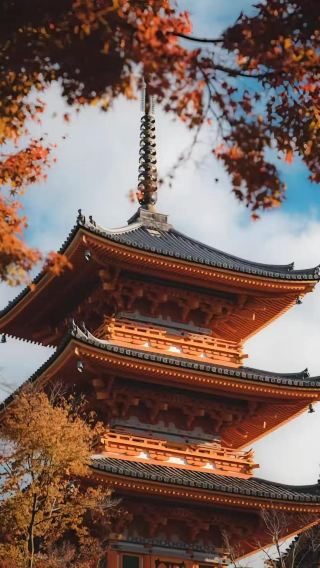 11D10N • Japan - Osaka - Kyoto - Nara - Tokyo - Mount Fuji - 11-day 10-night small group tour