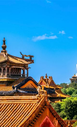 6天5晚 • 提前預訂，解鎖北平秋日限定旅程，市中心金融街威斯汀奢華連住房型＋故宮博物院＋慕田峪長城＋頤和園＋恭王府＋天壇公園