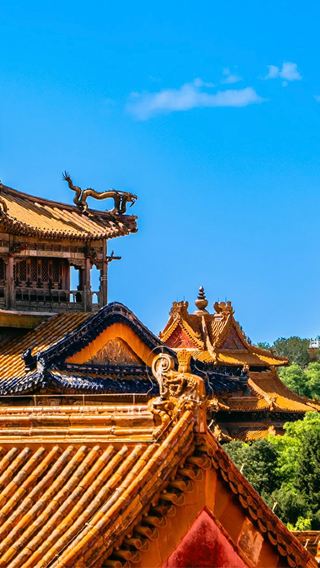 5D4N • Stay at Westin Downtown Beijing·Beijing Imperial Classics Tour: Forbidden City, Mutianyu Great Wall, Summer Palace & Temple of Heaven, Max 10 Guests, Zero Shopping & Free Transfers