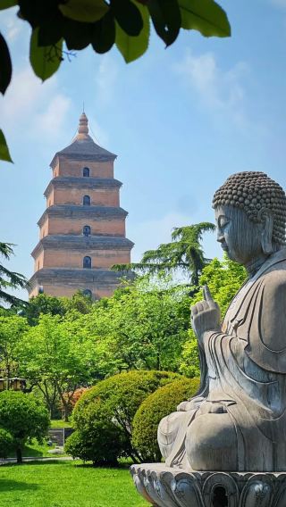 4天 • 提前預訂解鎖「古都秋日特輯」西安＋華山＋秦始皇帝陵兵馬俑