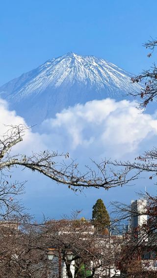 7D6N • Tokyo & Mount Fuji Tour: Airport Transfers + Full Stay at Downtown Tokyo Hotels + 3 Days of Free Time