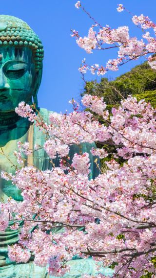 13D12N • Capitals of Japan with Mount Fuji