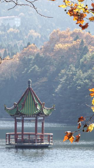 2D1N • Lushan Exclusive 2-Day 1-Night Shared Small Group Tour