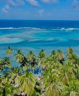 2D1N • San Blas Islands 2-Day Adventure with Boat Tour & Meals