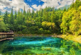 6日5晚 · 旅行團 · 重慶＋成都＋九寨溝＋三星堆博物館 · 『純玩無購物』經典九寨溝丨黃龍丨包高鐵票丨市中心酒店丨24小時微管家丨