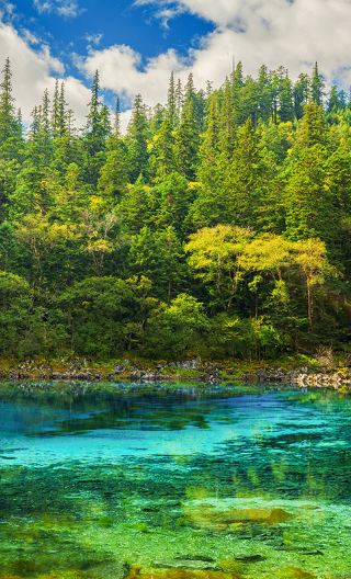 6D5N • A Chengdu‑Chongqing cultural tour featuring an 8‑person mini no‑shopping group, covering Chongqing, Chengdu, Jiuzhaigou, the Panda Base and Huanglong