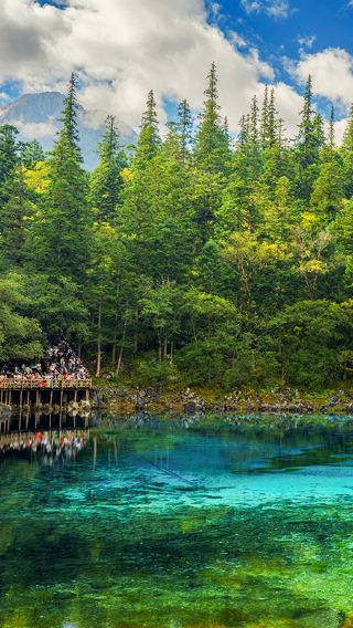 6D5N • A Chengdu-Chongqing cultural tour featuring an 8-person mini no-shopping group, covering Chongqing, Chengdu, Jiuzhaigou, the Panda Base and Huanglong