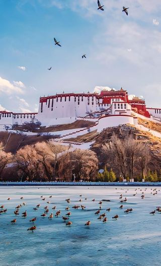 4D3N • Tibet Lhasa + Potala Palace + Jokhang Temple + Sera Monastery + Drepung Monastery