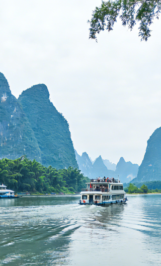 2D1N • Guilin + Yangshuo + Li River Cruise: Tea-picking experience at Tea Garden