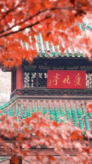 3D2N • 6-Person Group & Changsha: Orange Isle + Shaoshan Mao'Zedong Memorial Museum + Hunan Provincial Museum