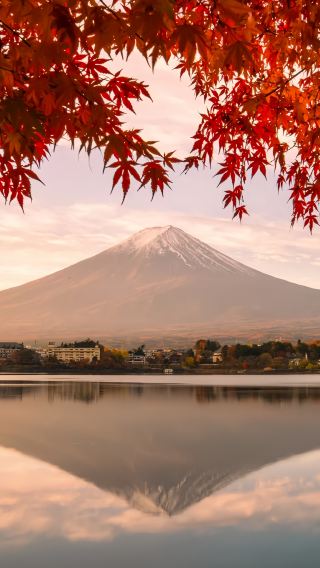 5天4晚 • 秋季溫泉之旅，東京出發｜東京＋富士山、攝影必去地·新倉山淺間公園、富士合掌村、麻布台之丘展望台