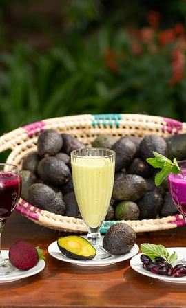 2D1N • 2-Day Private Luxury Fly-In Safari from Zanzibar & Return
