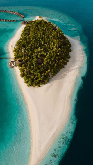 6D5N • Vilu Reef  Maldives : 2 Nights Beach Villa & 2 Nights Reef Villa