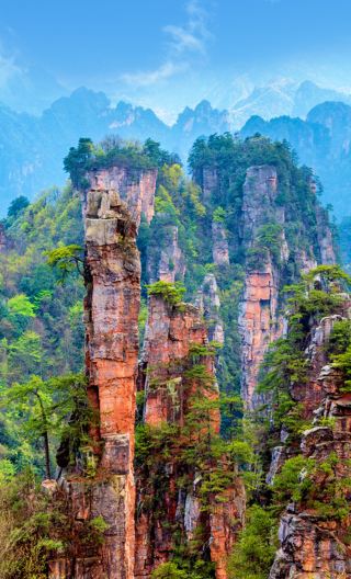 2D1N • Zhangjiajie National Forest Park + Tianmen Mountain + Zhangjiajie Grand Canyon