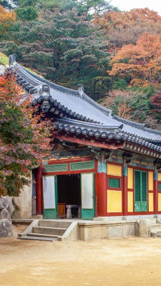 15D14N • Dreamed Japan with Kyushu Island & Ancestral Korea
