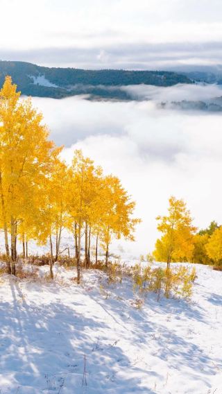 10D9N • Northern Xinjiang + Urumqi + Xinjiang Kanas National Geopark + Nalati Scenic Area