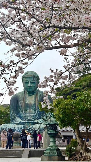 7D6N • Japan + Osaka + Kyoto + Tokyo + Mount Fuji + Kamakura City