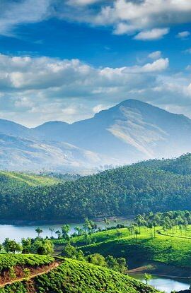 4D3N • 4 Days Private Kerala Tour -Kochi, Munnar, Thekkady with 3* Hotel