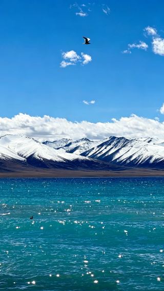 9D8N • Lhasa + Nyingchi + Bome + Yamdrok Yumtso + Namtso + Potala Palace