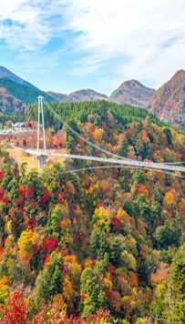 6日5晚 • 九州  秋楓美景+ J1甲級聯賽  6天溫泉之旅  日足魅力：J1聯賽熱血賞楓之旅！「賞紅葉名所」九重夢吊橋、由布院花卉村、夢幻湖泊~金鱗湖、稻佐山展望台(乘玻璃列車/登山纜車)