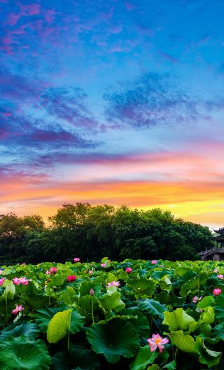 7D6N • Shanghai + Suzhou + Hangzhou + Wuxi + Nanjing + Wuzhen - 24-hour pick-up & drop-off service